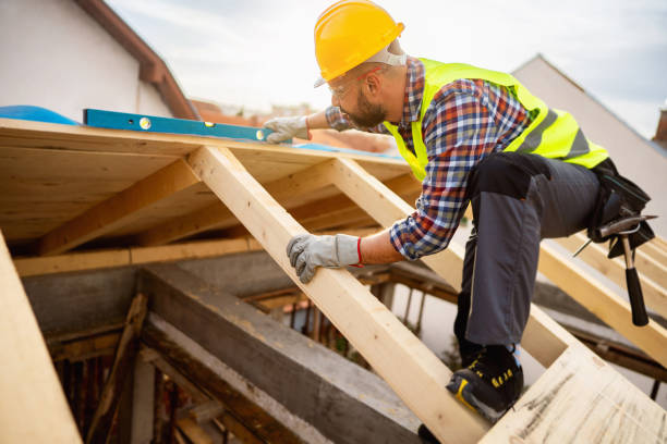 Best Local Roofing Companies  in Dundee, MI