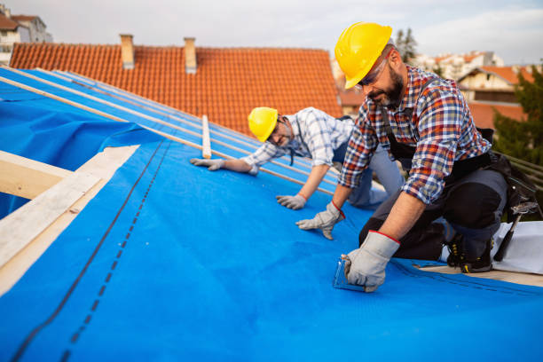 Best Tile Roofing Contractor  in Dundee, MI