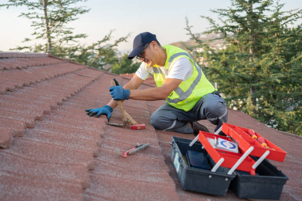 Best Residential Roofing Contractor  in Dundee, MI