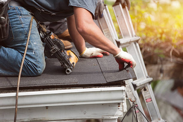 Best Roof Repair Specialists  in Dundee, MI