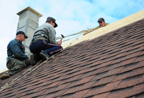 Best Storm Damage Roof Repair  in Dundee, MI