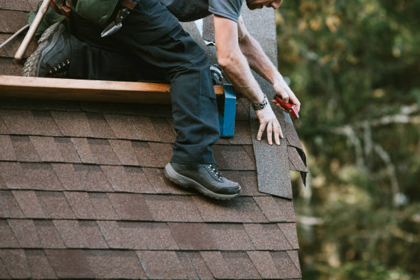Best New Roof Installation  in Dundee, MI