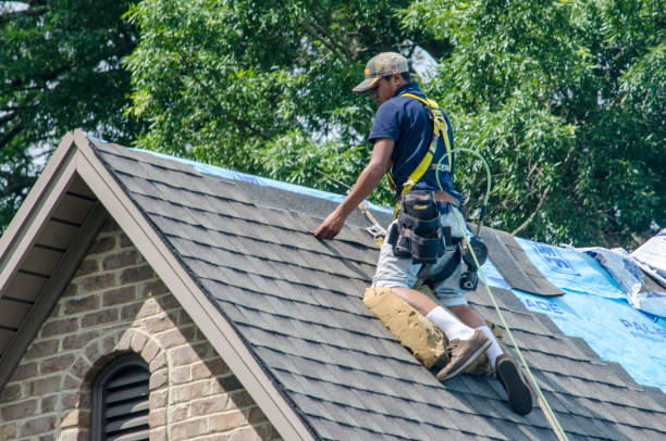 Best Gutter Installation and Roofing  in Dundee, MI