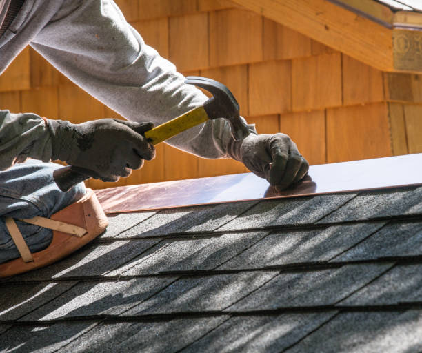 Best Roof Maintenance Services  in Dundee, MI